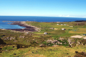 photo by David Stephenson