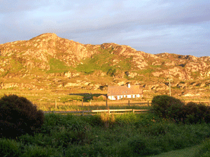 Evening sun at Longfield